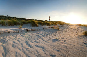 Meerblick in Kampen - Wattwandern auf Sylt nördlich des Westerlandes